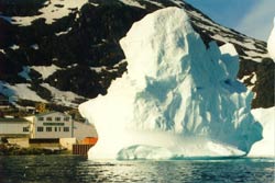 Nuka A/S Arsuk. � Suulut Foto 1997.