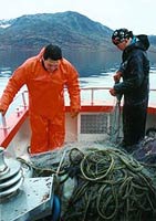 Orla Jensen i Arsukfjorden. � Suulut Foto 1997.