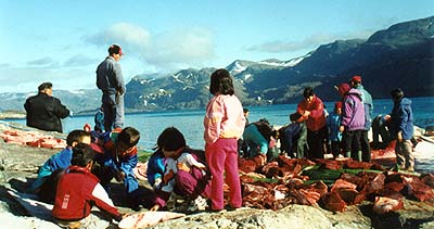 Hvalmik i Arsuk. � Suulut Foto 1996.