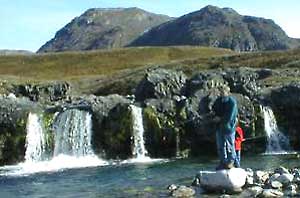 �redfangst ved Ika 1998. � Suulut Foto.