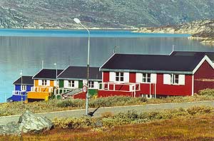 4 gange Halvtolv 2000. � Suulut Foto.